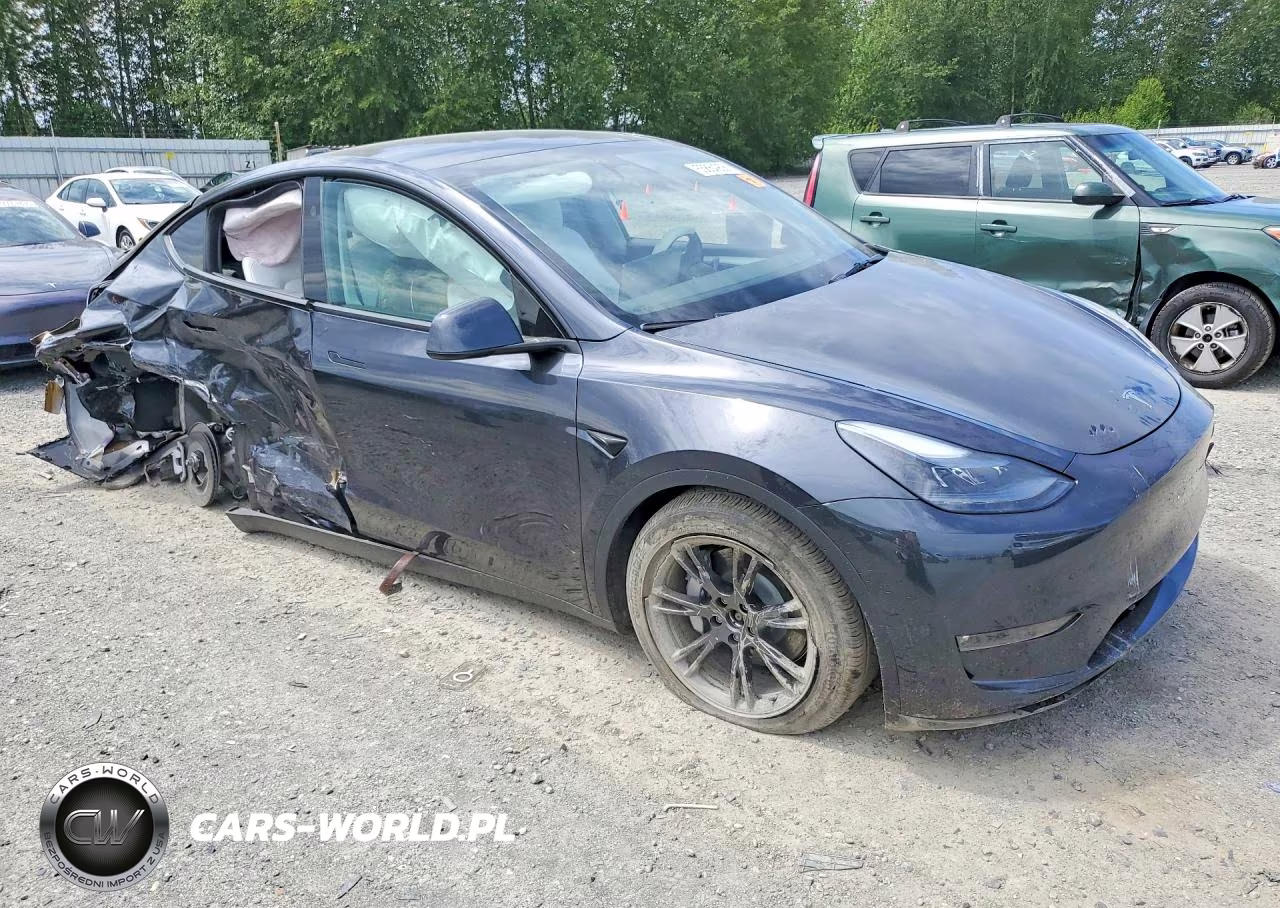 2024 Tesla Model Y VIN:7SAYGAEE6RF102106 - 4
