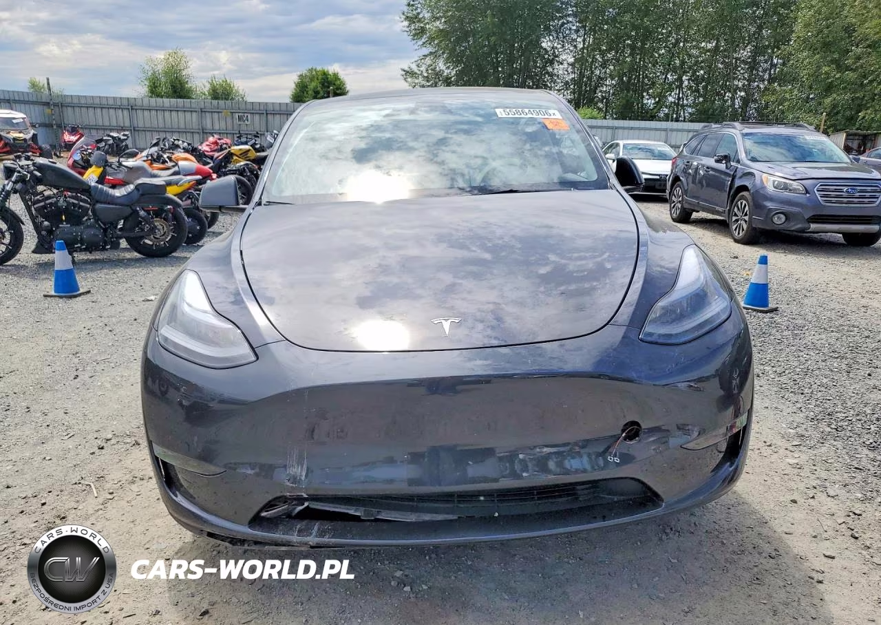 2024 Tesla Model Y VIN:7SAYGAEE6RF102106 - 5