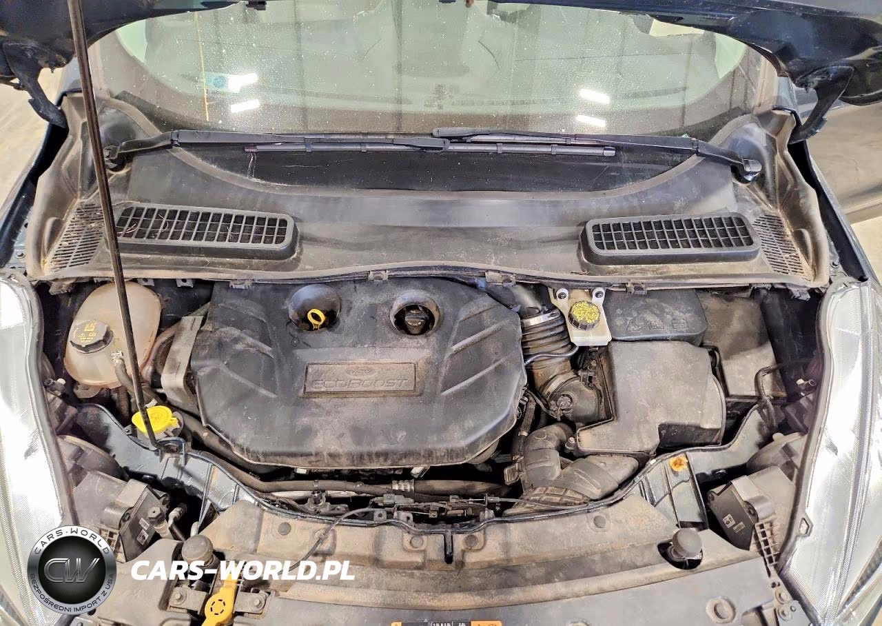 2019 Ford Escape Titanium VIN:1FMCU9J99KUA73488 - 12