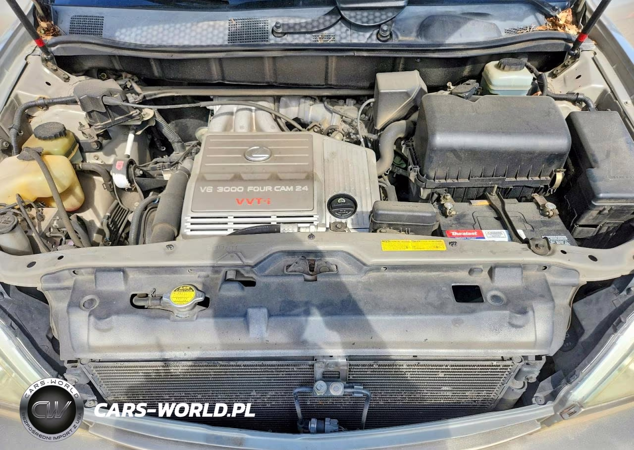 2002 Lexus Rx300 VIN:JTJGF10U520143953 - 12