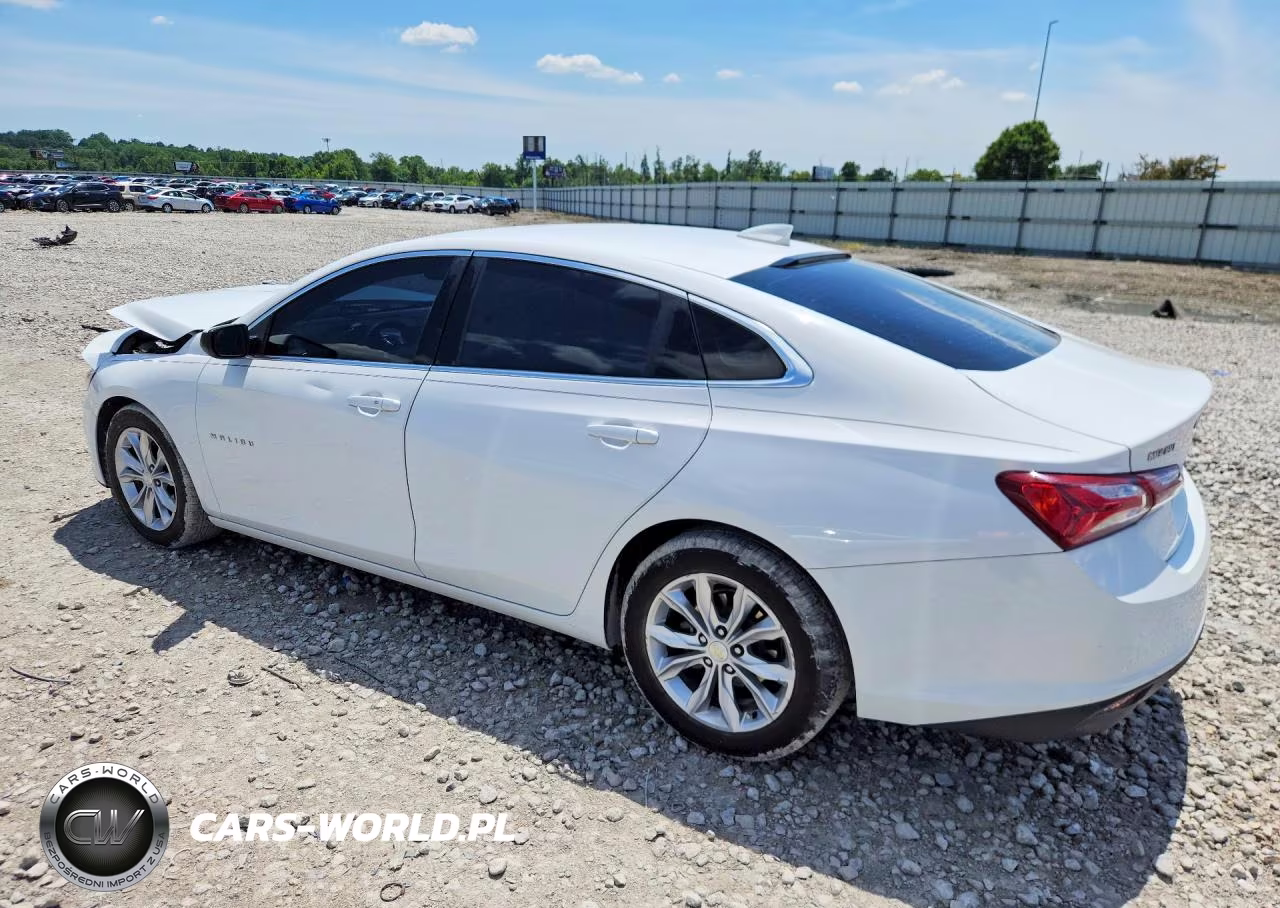 2019 Chevrolet Malibu Lt VIN:1G1ZD5ST5KF129392 - 2