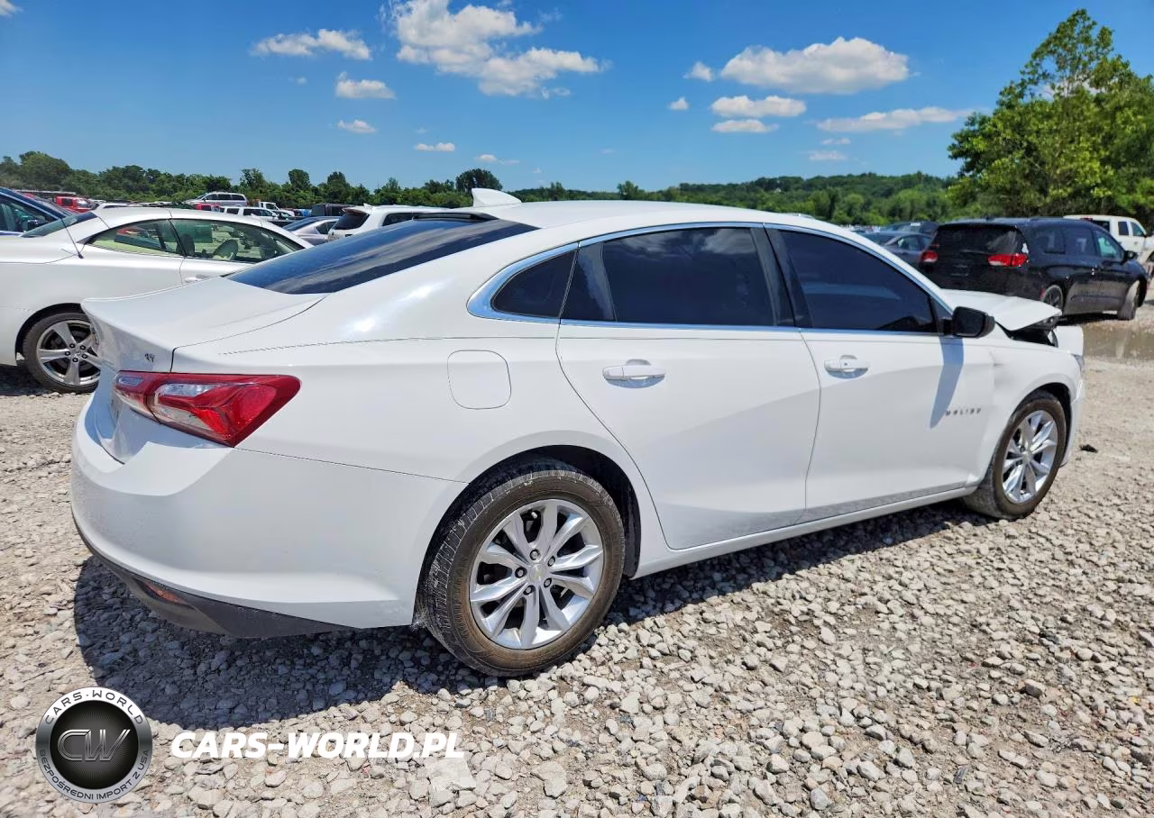 2019 Chevrolet Malibu Lt VIN:1G1ZD5ST5KF129392 - 3