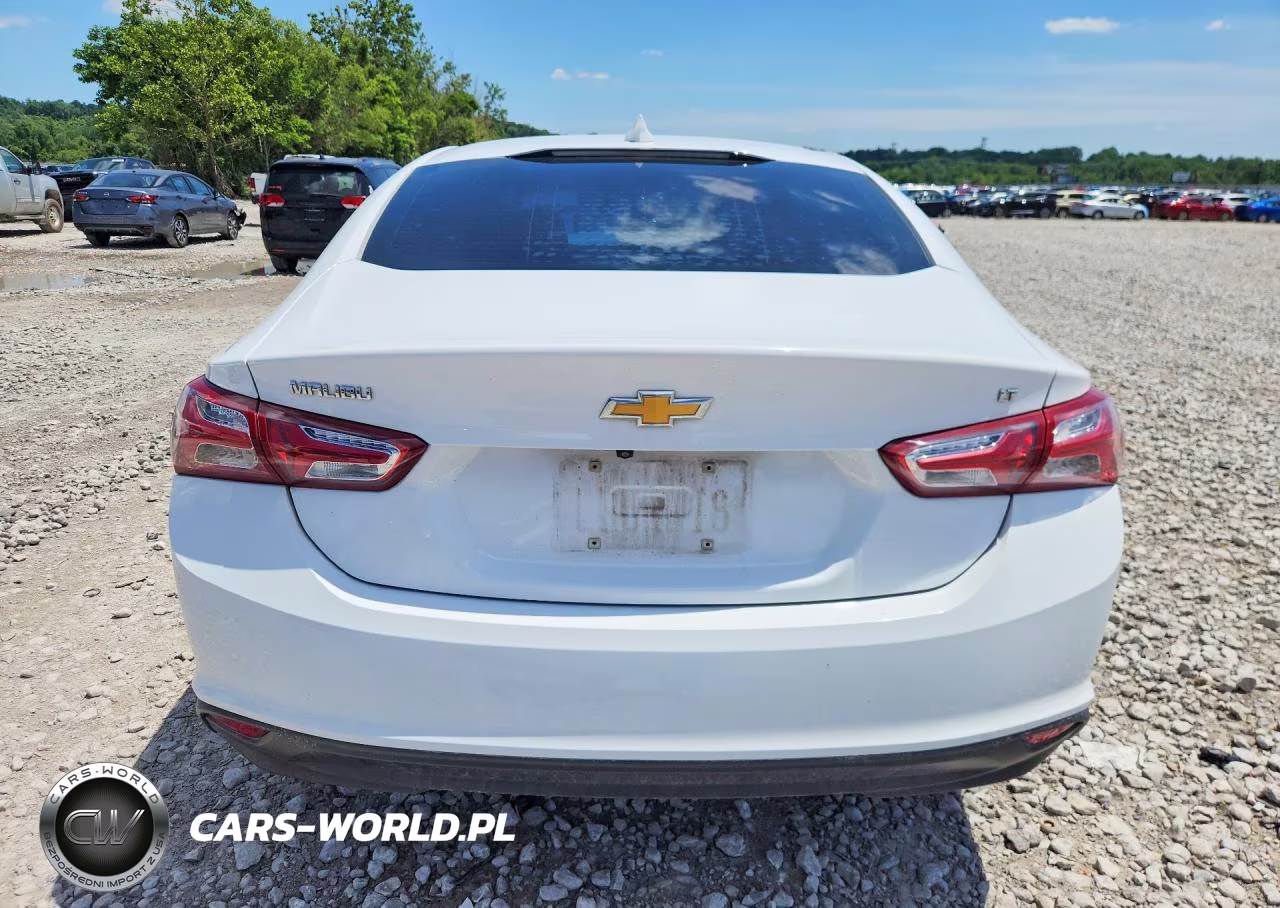 2019 Chevrolet Malibu Lt VIN:1G1ZD5ST5KF129392 - 6