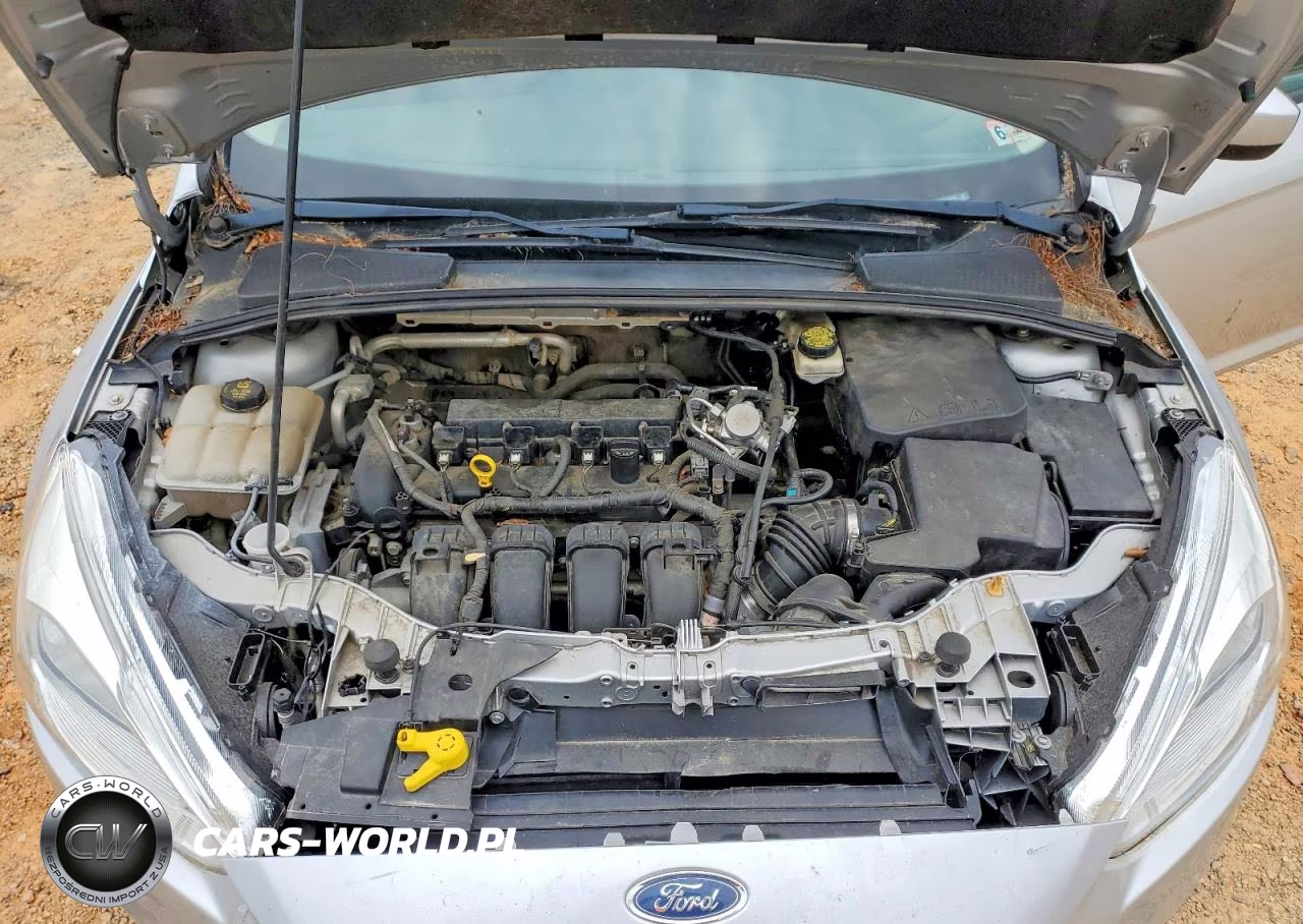 2018 Ford Focus Se VIN:1FADP3F29JL324223 - 11
