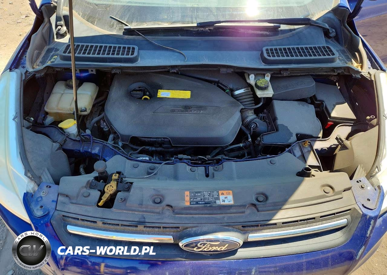 2015 Ford Escape Se VIN:1FMCU9GX9FUC73282 - 12