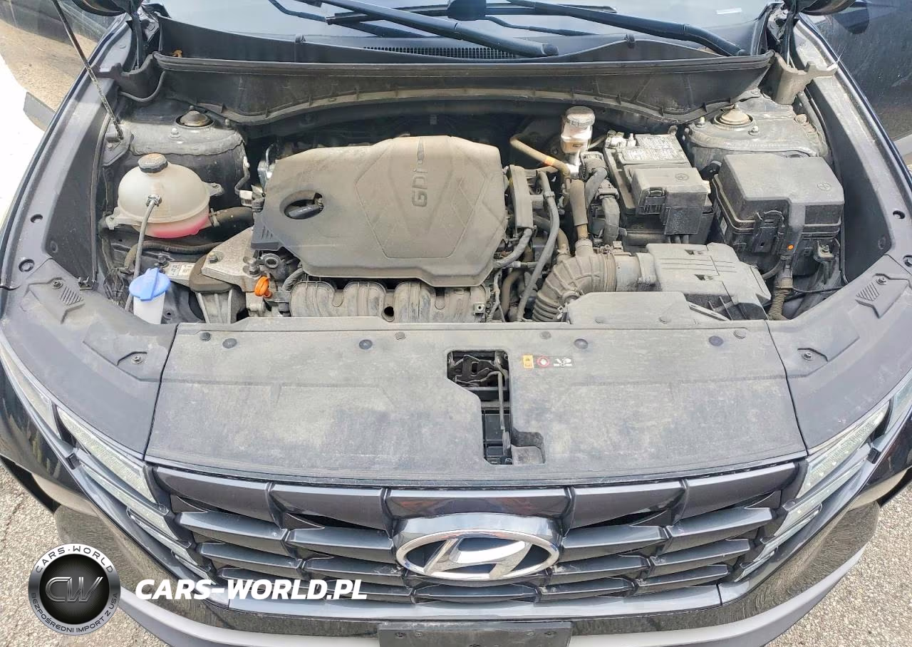 2023 Hyundai Tucson VIN:5NMJBCAE8PH216473 - 12