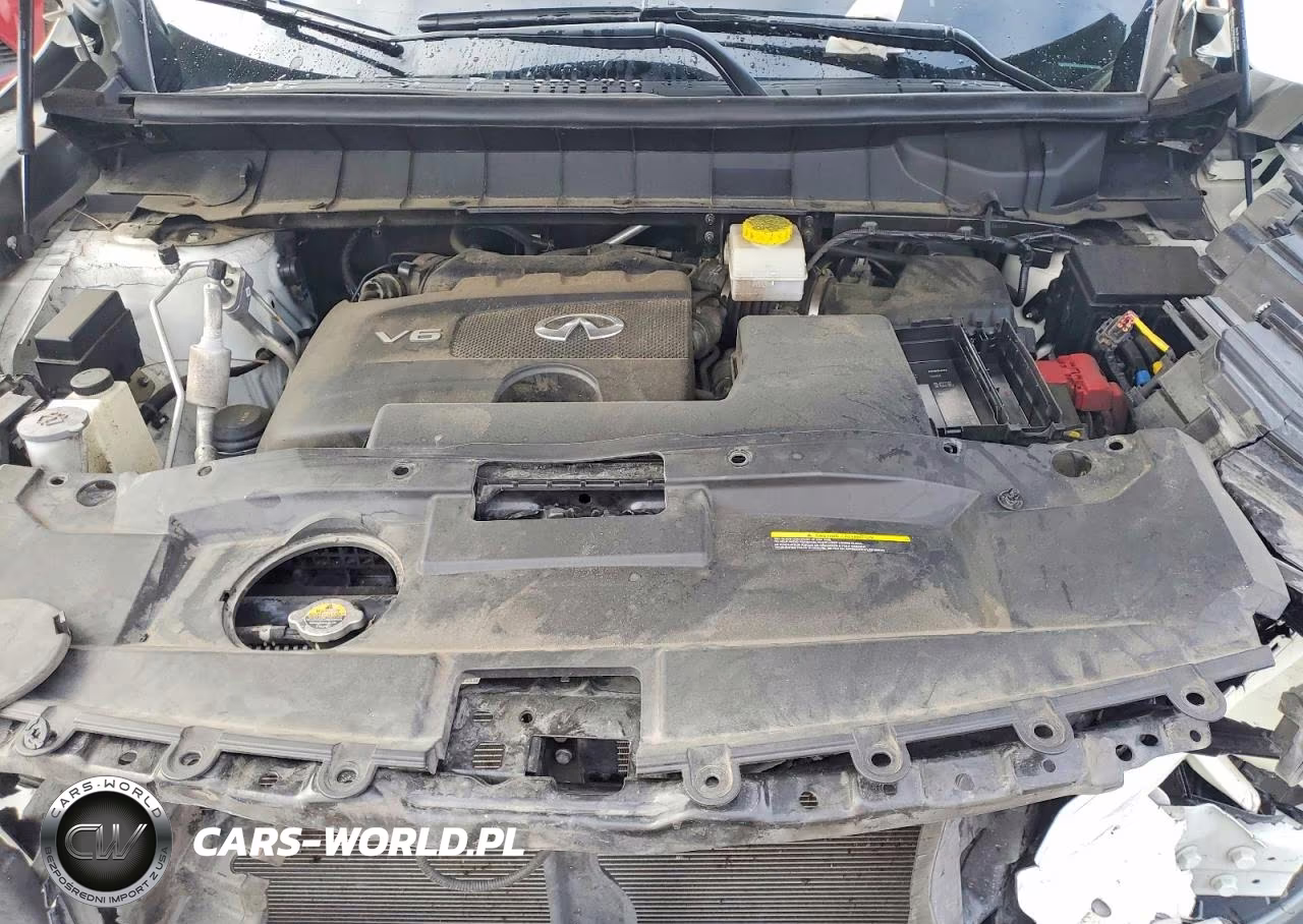 2023 Infiniti Qx60 Luxe VIN:5N1DL1FS9PC360458 - 12