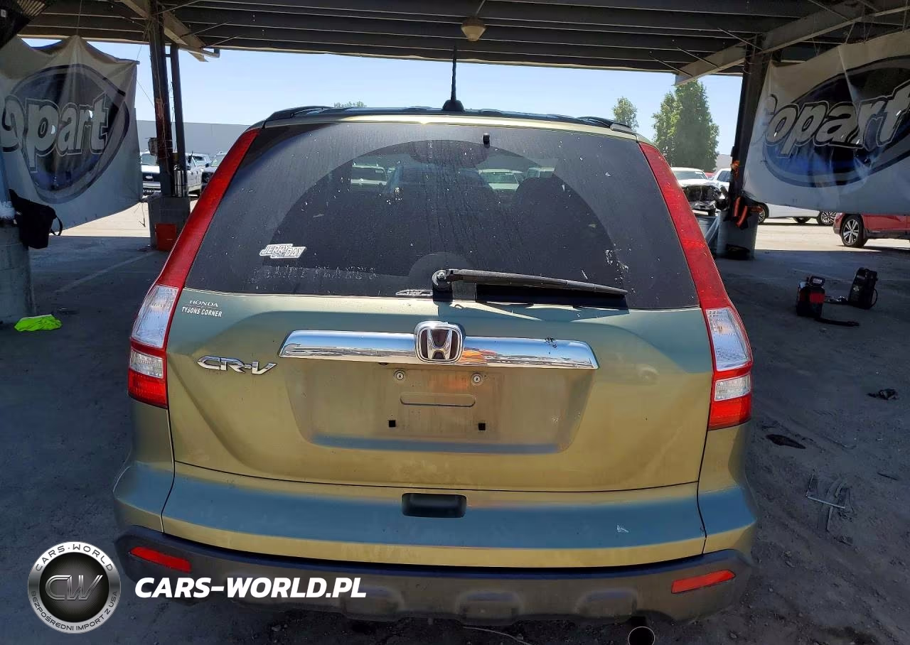 2008 Honda Cr-V Exl VIN:5J6RE48738L049196 - 6