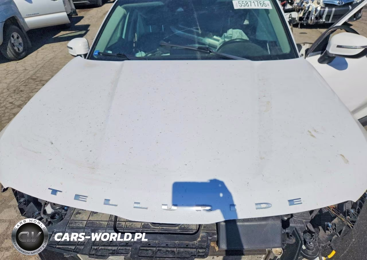 2022 Kia Telluride S VIN:5XYP6DHC8NG264393 - 11
