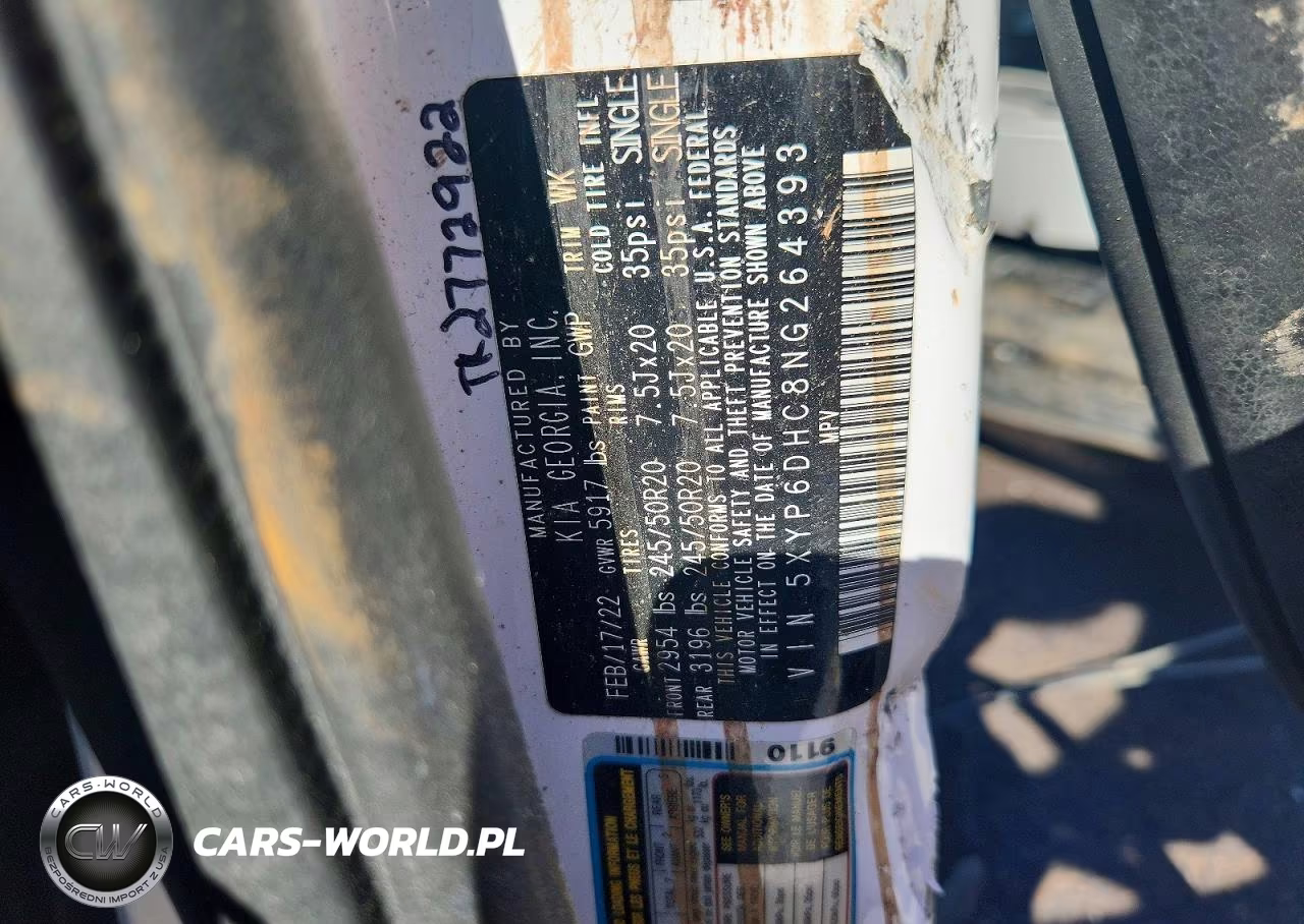 2022 Kia Telluride S VIN:5XYP6DHC8NG264393 - 12