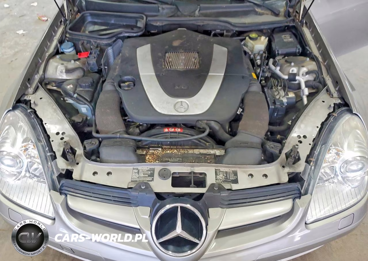 2006 Mercedes-Benz Slk 280 VIN:WDBWK54F86F118687 - 11