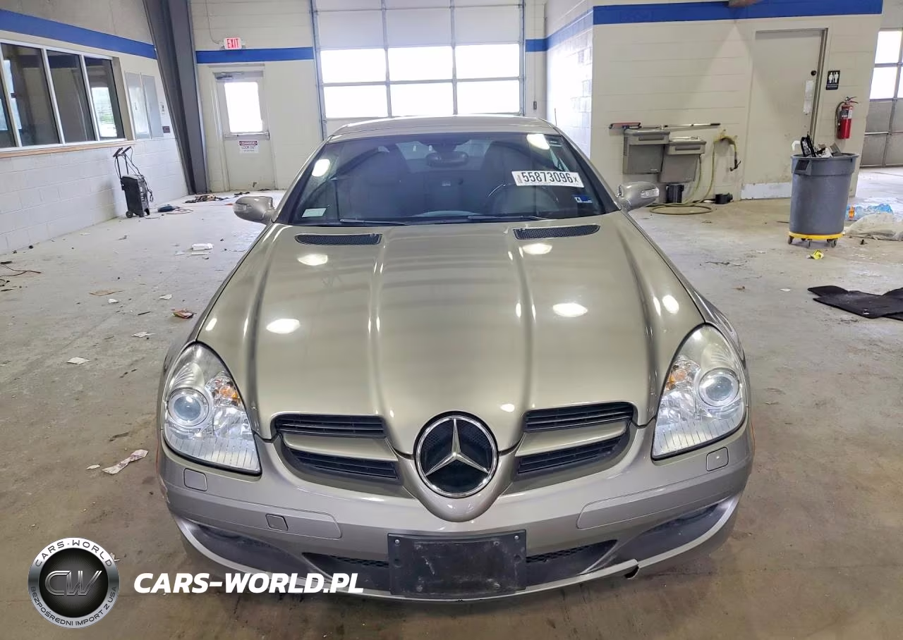 2006 Mercedes-Benz Slk 280 VIN:WDBWK54F86F118687 - 5