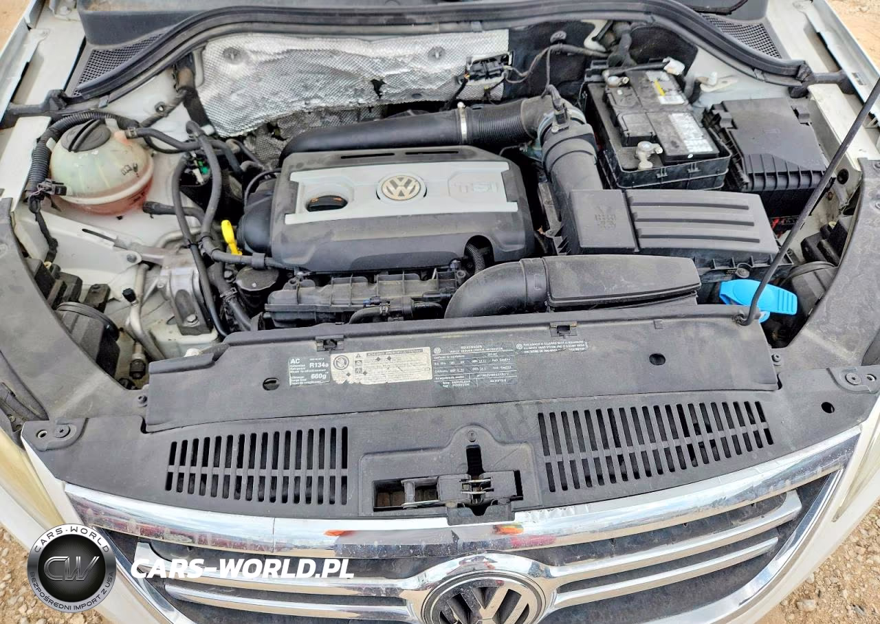 2011 Volkswagen Tiguan S VIN:WVGBV7AX3BW510370 - 11