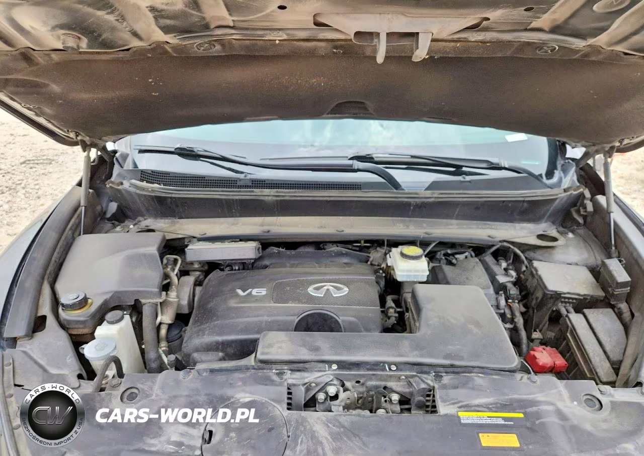 2020 Infiniti Qx60 Pure VIN:5N1DL0MMXLC503863 - 12