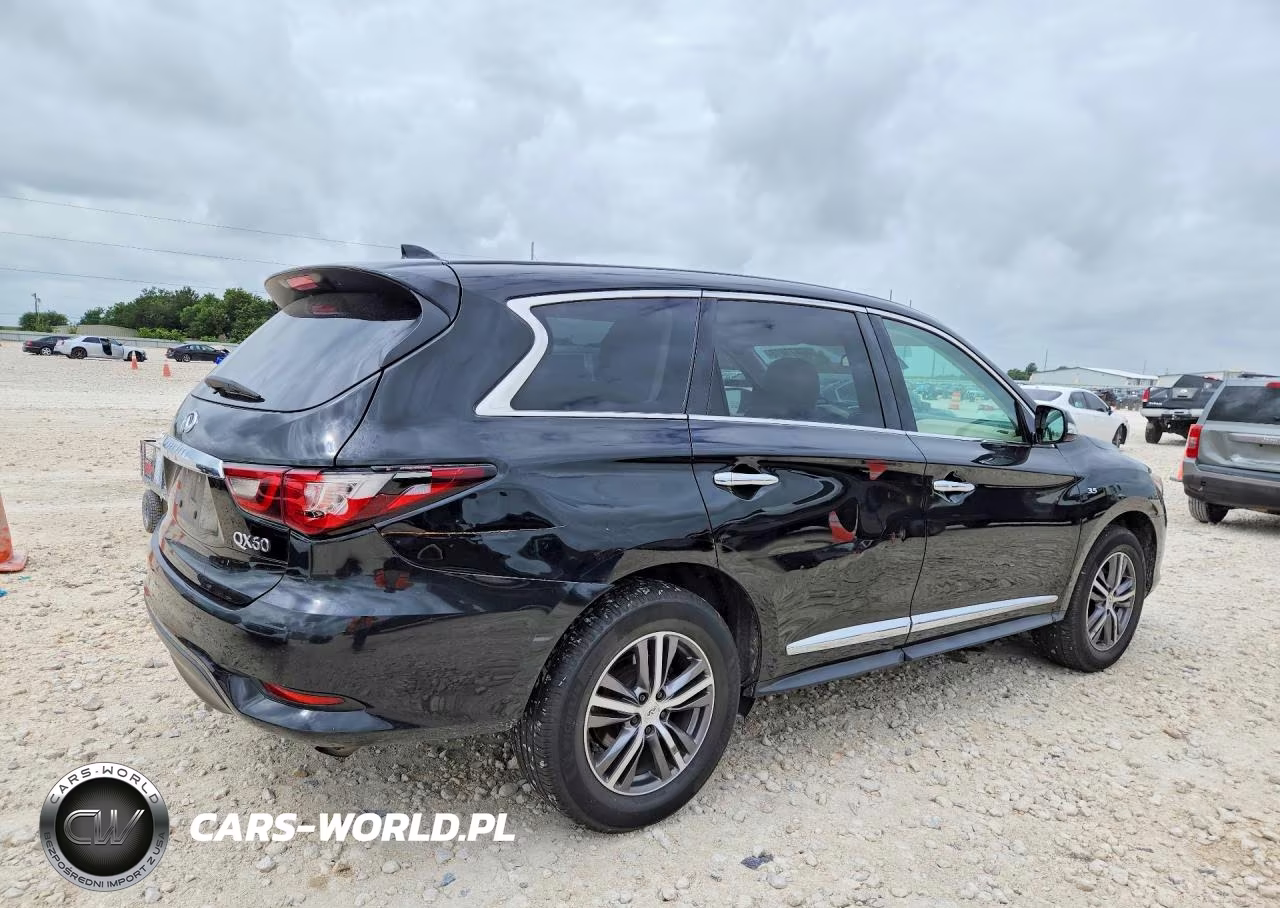 2020 Infiniti Qx60 Pure VIN:5N1DL0MMXLC503863 - 3