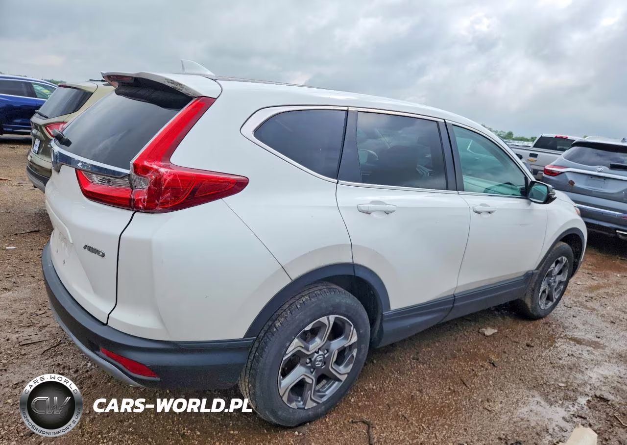2019 Honda Cr-V Exl VIN:5J6RW2H86KL025539 - 3