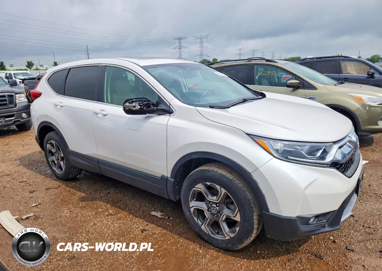 2019 Honda Cr-V Exl VIN:5J6RW2H86KL025539 - 4