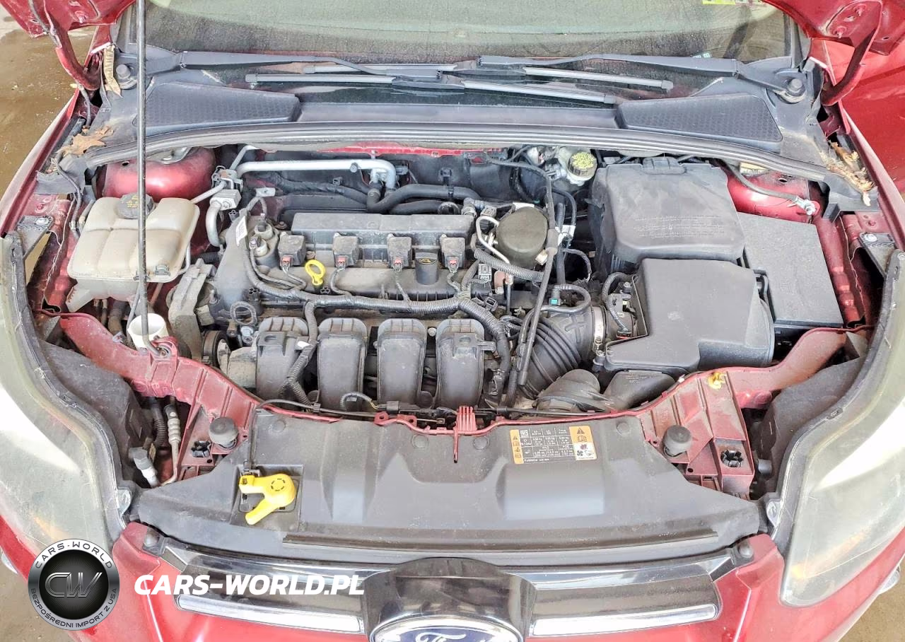 2014 Ford Focus Titanium VIN:1FADP3N22EL403983 - 11