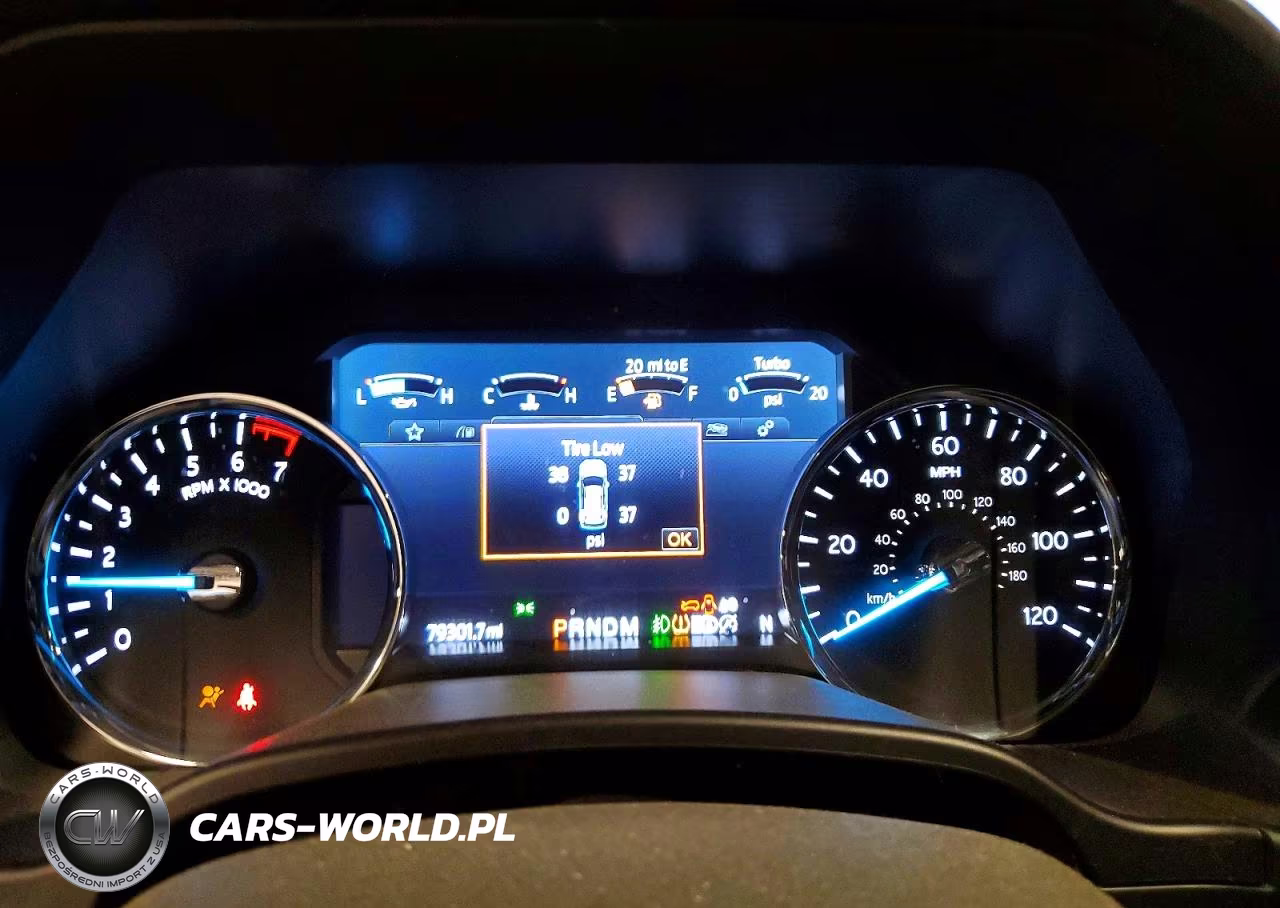 2020 Ford Expedition Limited VIN:1FMJU2ATXLEA32941 - 9