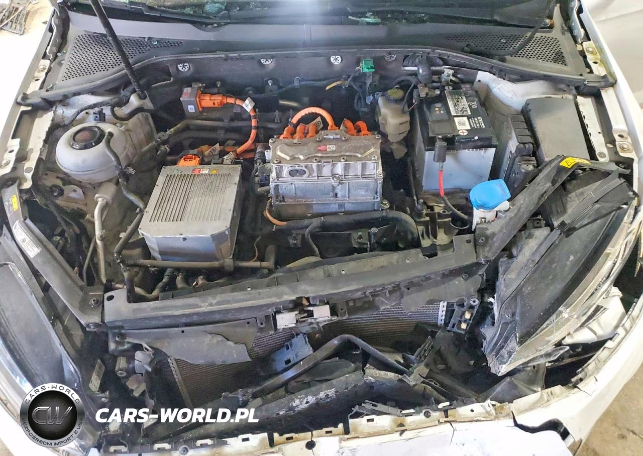 2019 Volkswagen E-Golf Se VIN:WVWKR7AU3KW908404 - 11