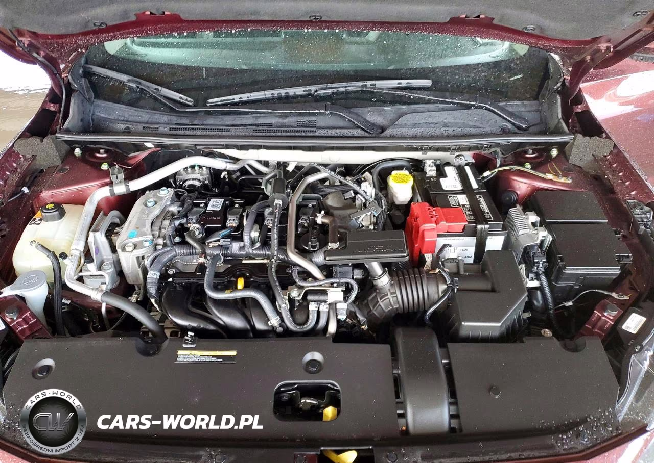 2024 Nissan Sentra Sv VIN:3N1AB8CV2RY300228 - 11