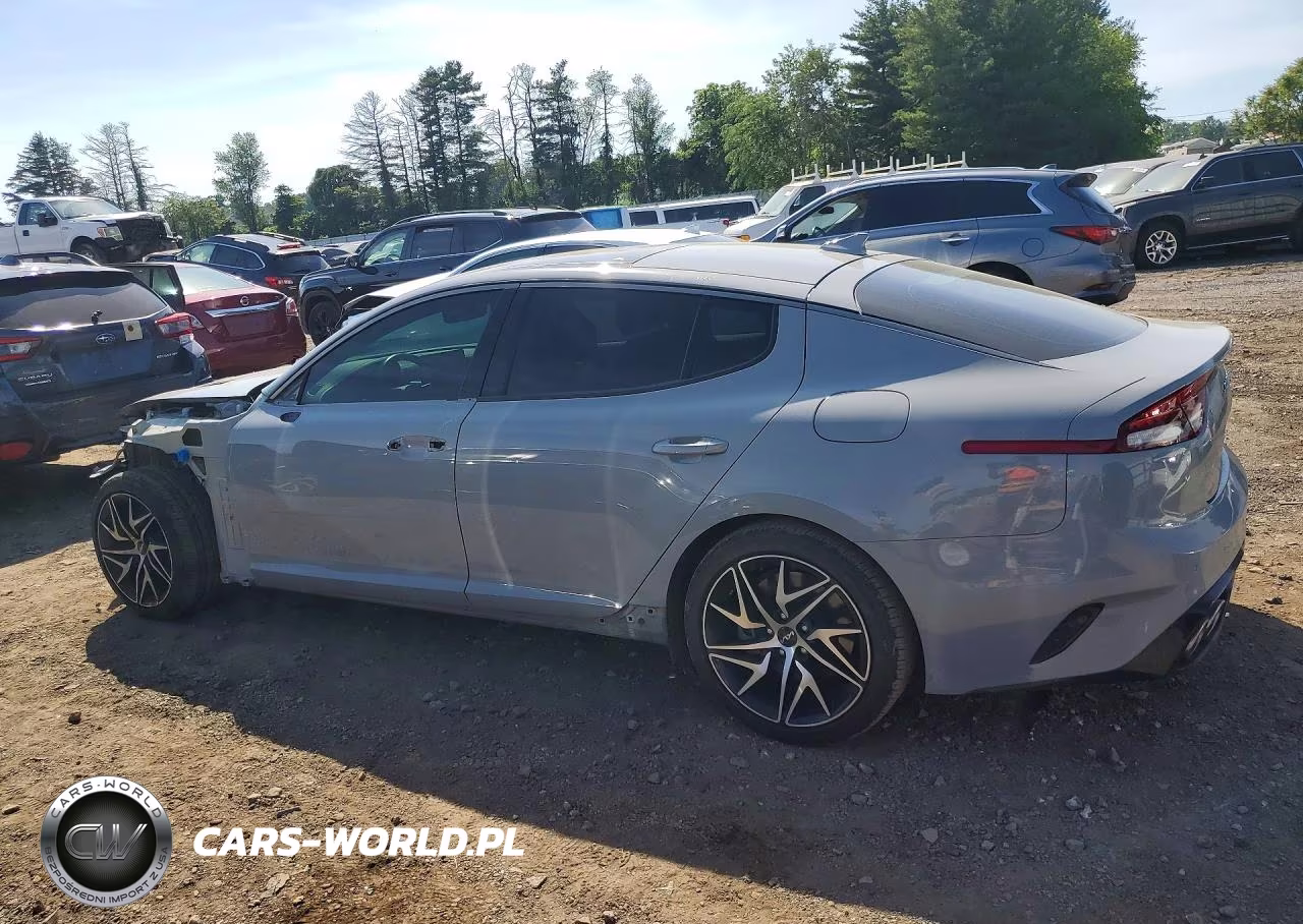 2022 Kia Stinger Gt Line VIN:KNAE35LDXN6116560 - 2
