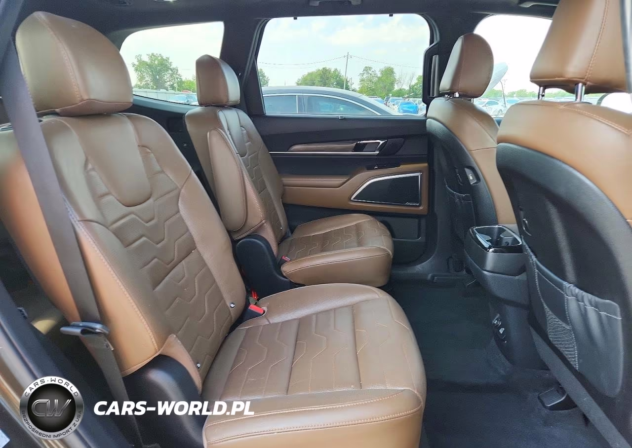 2020 Kia Telluride Sx VIN:5XYP5DHC6LG088945 - 11