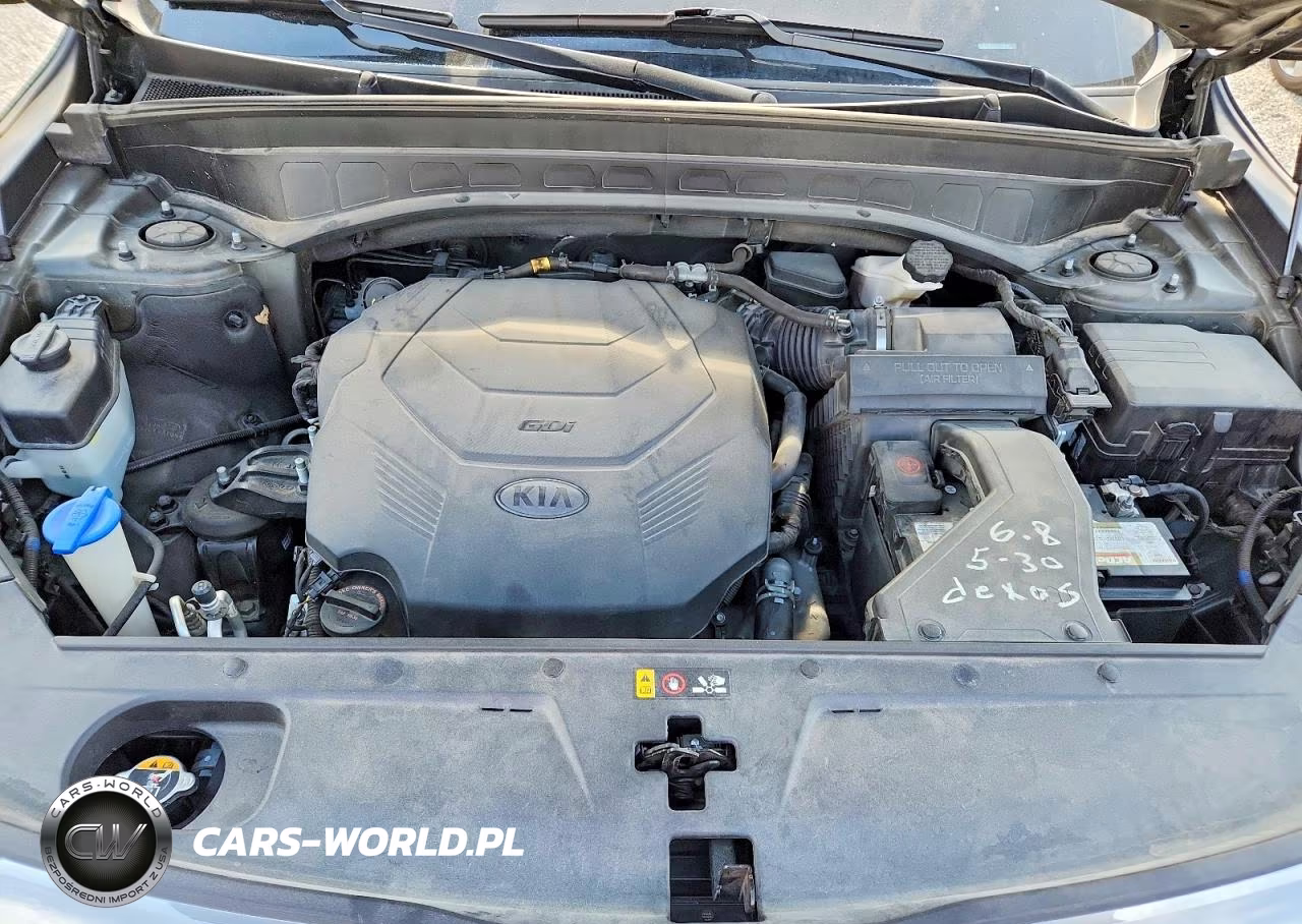 2020 Kia Telluride Sx VIN:5XYP5DHC6LG088945 - 12
