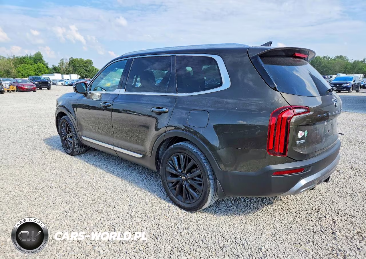 2020 Kia Telluride Sx VIN:5XYP5DHC6LG088945 - 2