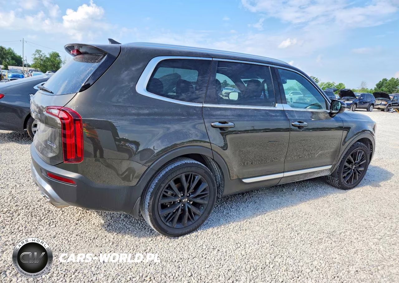 2020 Kia Telluride Sx VIN:5XYP5DHC6LG088945 - 3