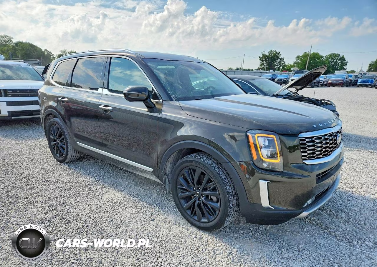 2020 Kia Telluride Sx VIN:5XYP5DHC6LG088945 - 4
