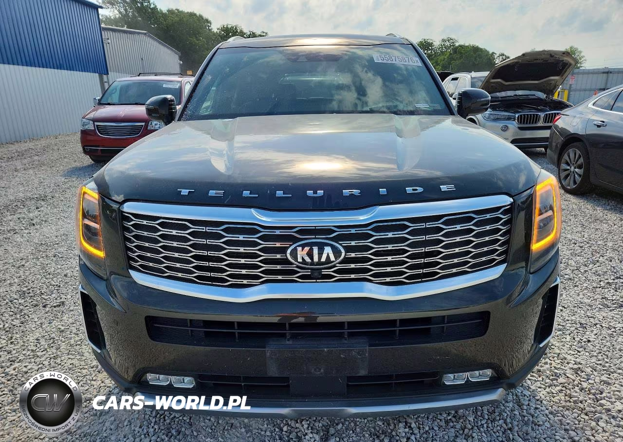 2020 Kia Telluride Sx VIN:5XYP5DHC6LG088945 - 5