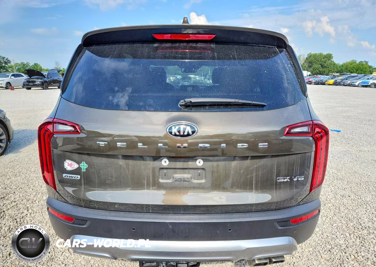 2020 Kia Telluride Sx VIN:5XYP5DHC6LG088945 - 6