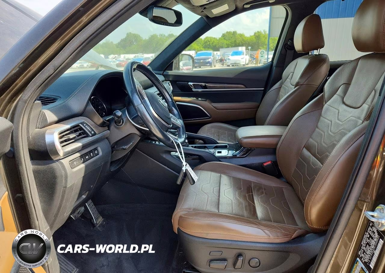 2020 Kia Telluride Sx VIN:5XYP5DHC6LG088945 - 7