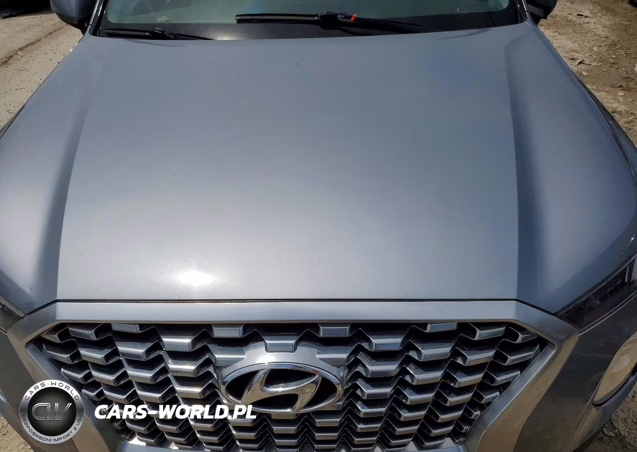 2020 Hyundai Palisade Sel VIN:KM8R2DHE2LU058743 - 12