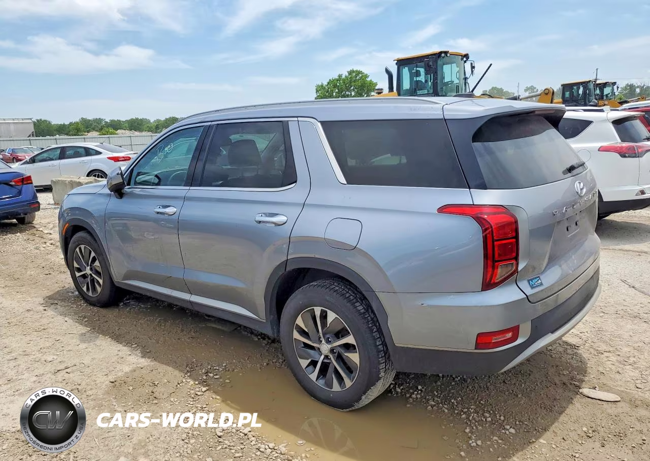 2020 Hyundai Palisade Sel VIN:KM8R2DHE2LU058743 - 2
