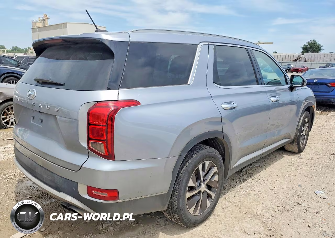 2020 Hyundai Palisade Sel VIN:KM8R2DHE2LU058743 - 3