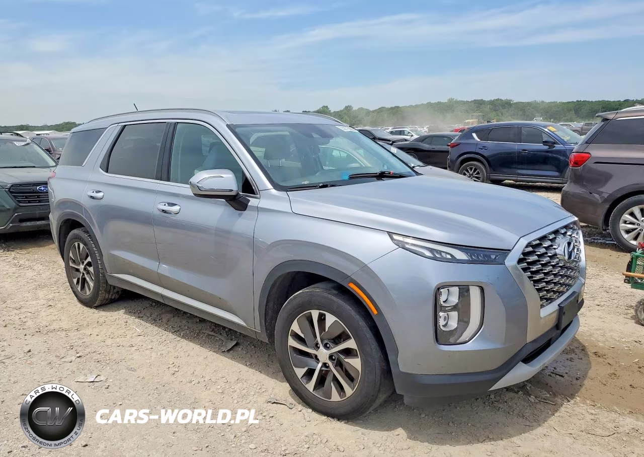 2020 Hyundai Palisade Sel VIN:KM8R2DHE2LU058743 - 4