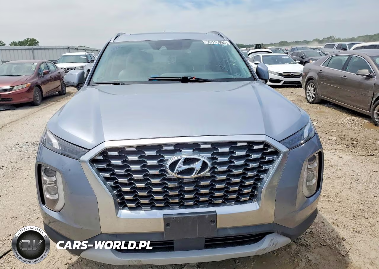 2020 Hyundai Palisade Sel VIN:KM8R2DHE2LU058743 - 5