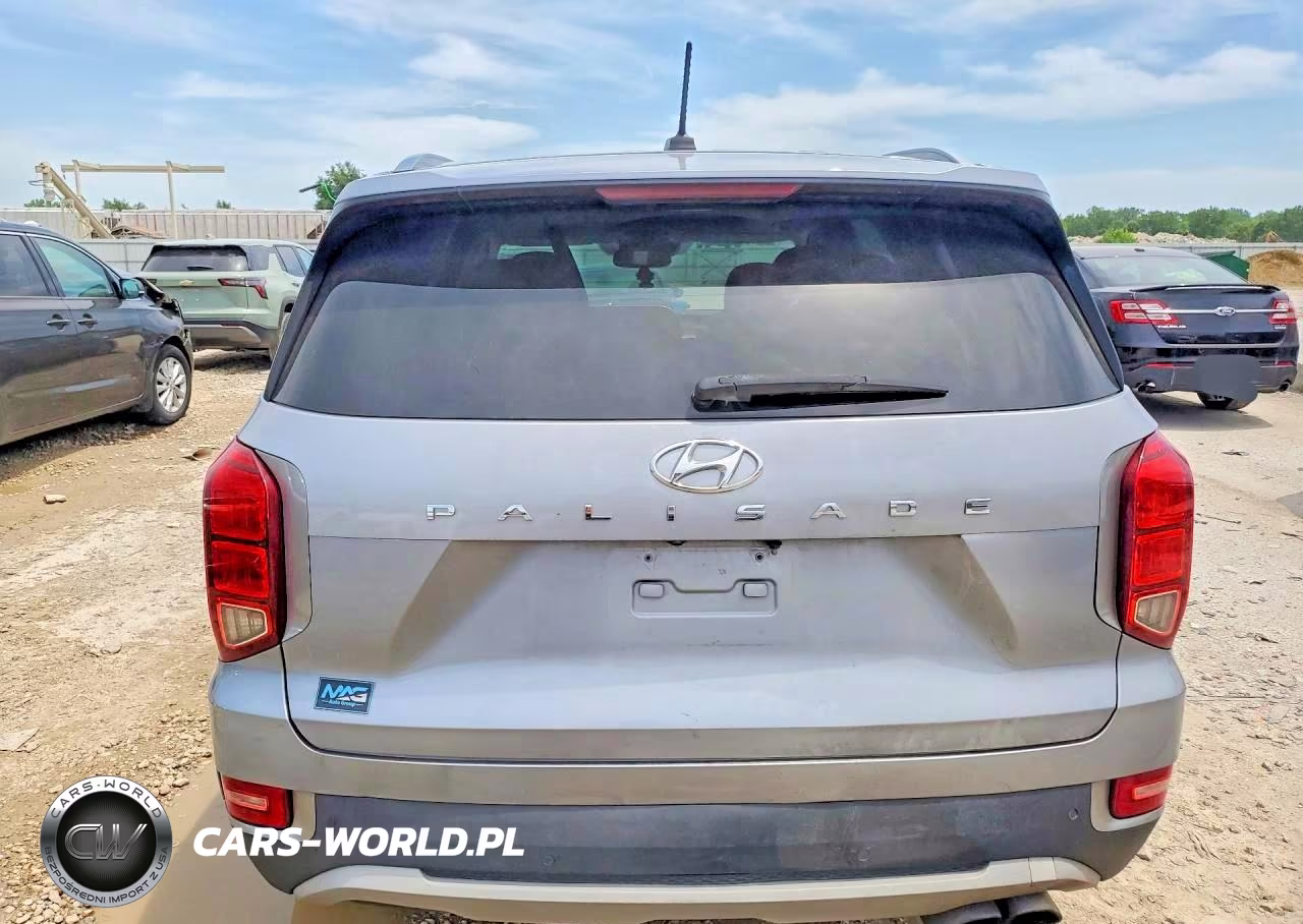 2020 Hyundai Palisade Sel VIN:KM8R2DHE2LU058743 - 6