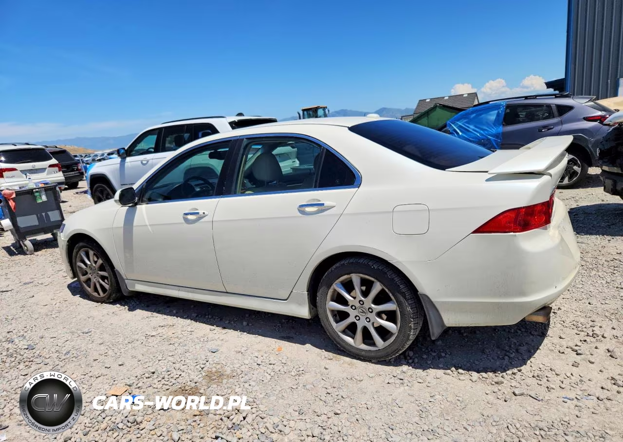 2006 Acura Tsx VIN:JH4CL96896C013325 - 2