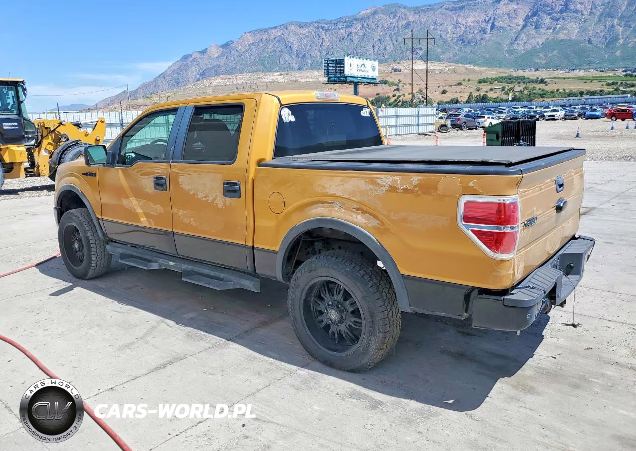 2009 Ford F150 Supercrew VIN:1FTPW14VX9KA38748 - 2