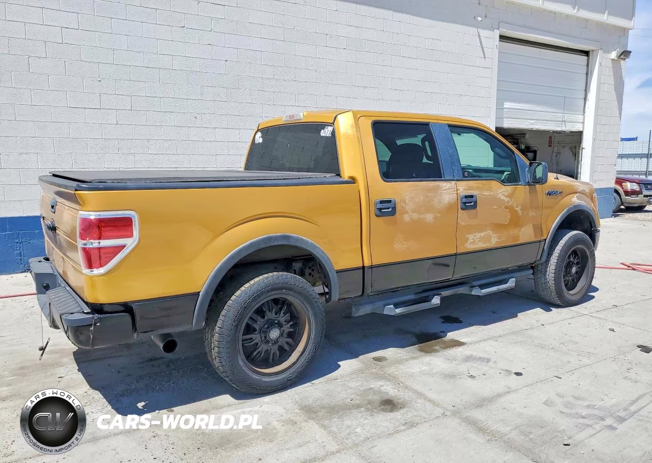 2009 Ford F150 Supercrew VIN:1FTPW14VX9KA38748 - 3