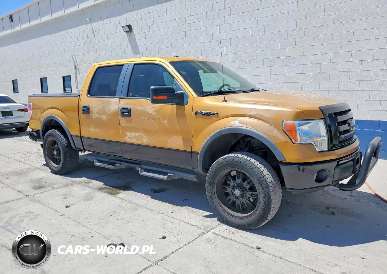 2009 Ford F150 Supercrew VIN:1FTPW14VX9KA38748 - 4