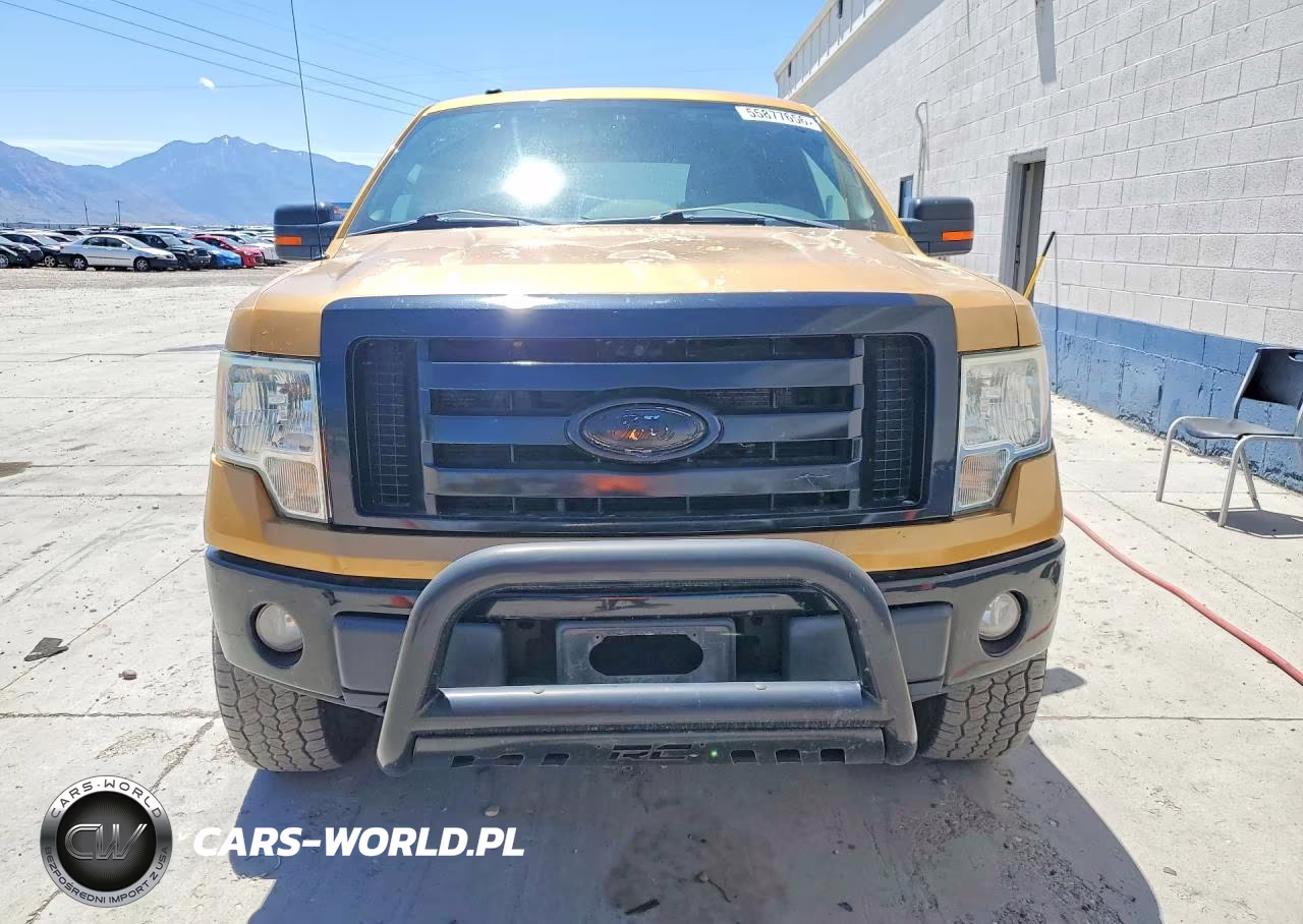 2009 Ford F150 Supercrew VIN:1FTPW14VX9KA38748 - 5