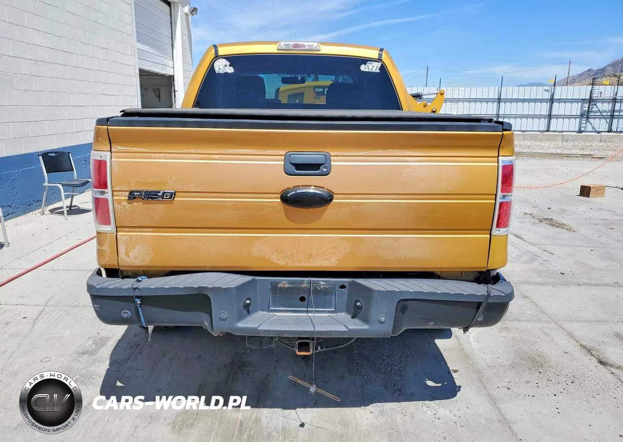 2009 Ford F150 Supercrew VIN:1FTPW14VX9KA38748 - 6