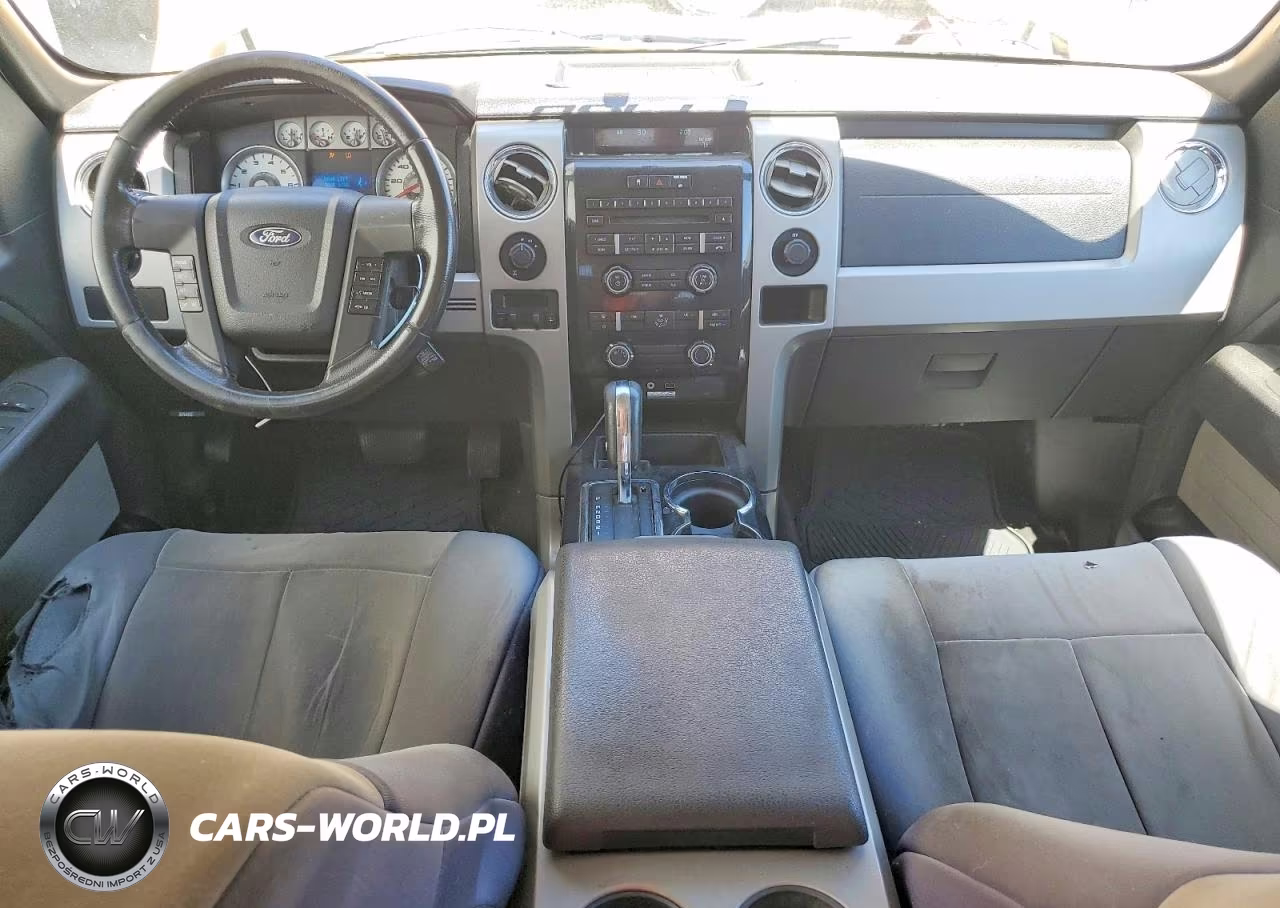 2009 Ford F150 Supercrew VIN:1FTPW14VX9KA38748 - 8