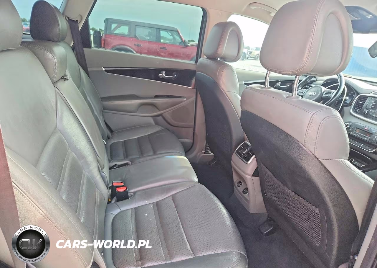 2016 Kia Sorento Ex VIN:5XYPH4A59GG148211 - 10