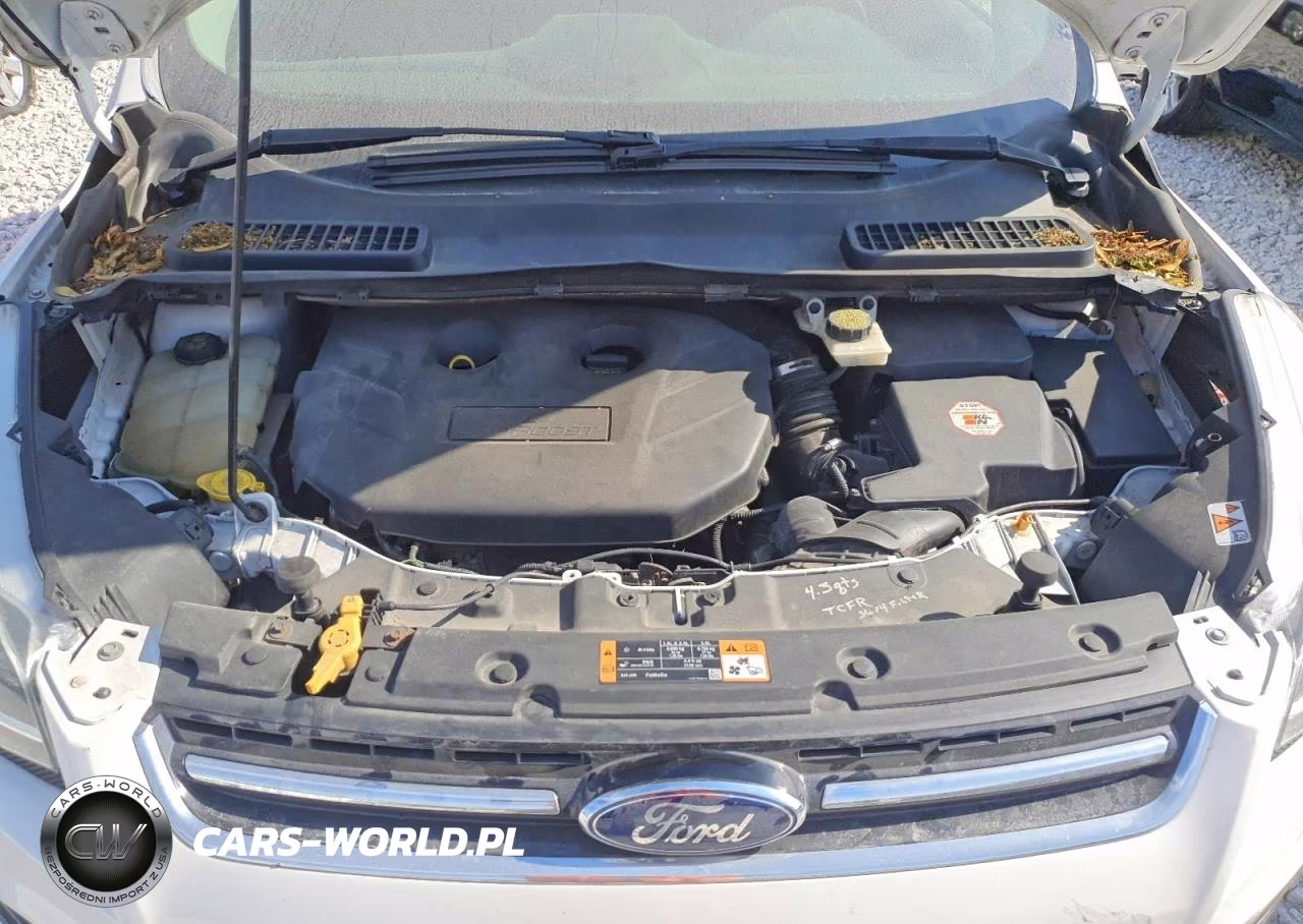 2014 Ford Escape Titanium VIN:1FMCU9J91EUD23794 - 12