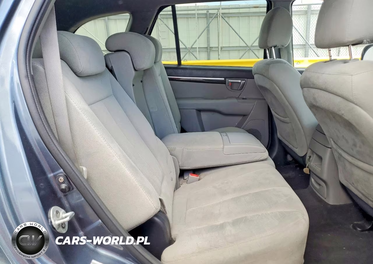 2009 Hyundai Santa Fe Gls VIN:5NMSG13D39H238060 - 11